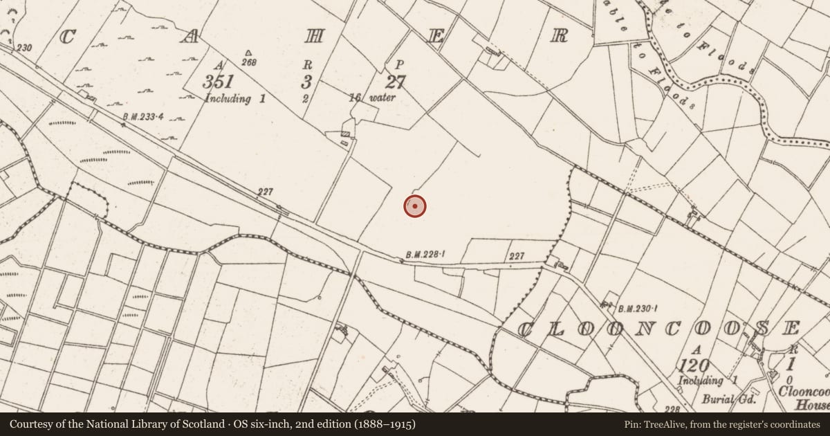 Ordnance Survey six-inch map, 2nd edition (1888–1915) covering the location of Ringfort - rath, Caher, County Roscommon, with a pin at the register's coordinates