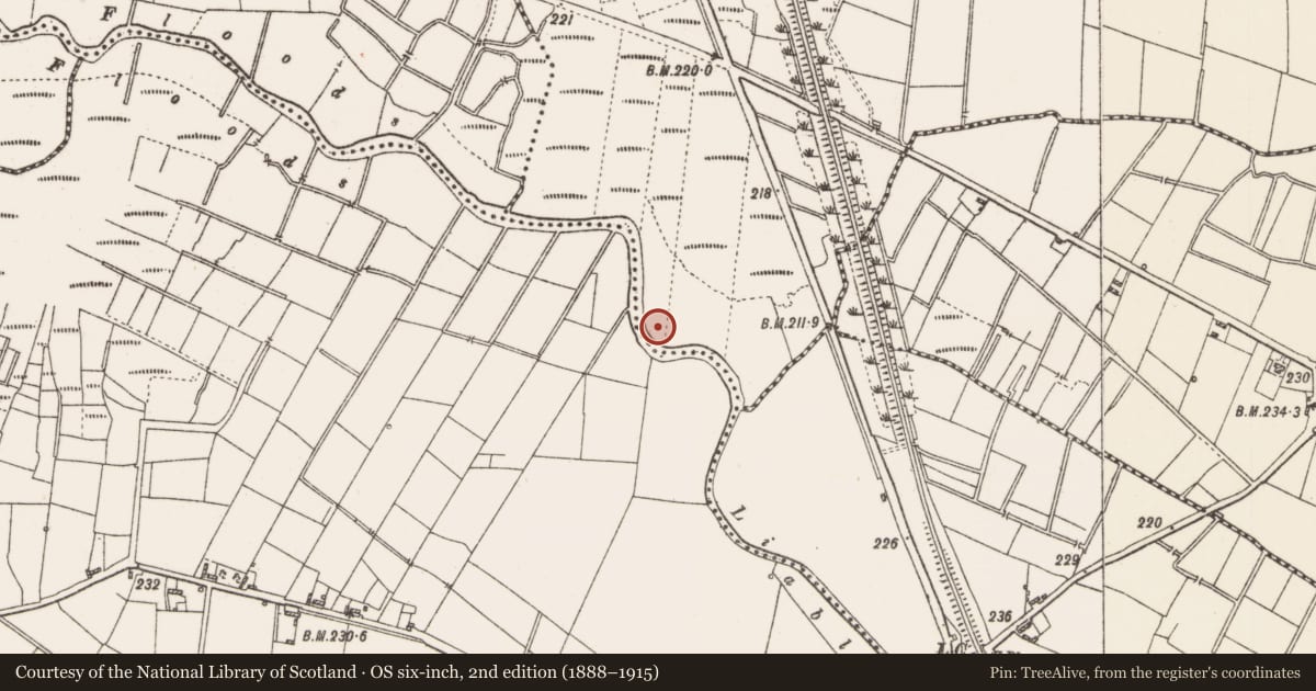 Ordnance Survey six-inch map, 2nd edition (1888–1915) covering the location of Promontory fort - inland, Beagh, County Roscommon, with a pin at the register's coordinates