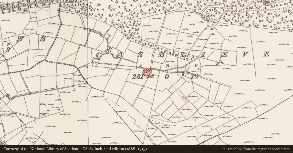 Ordnance Survey six-inch map, 2nd edition (1888–1915) covering the location of Ringfort - cashel, Cashlieve, County Roscommon, with a pin at the register's coordinates