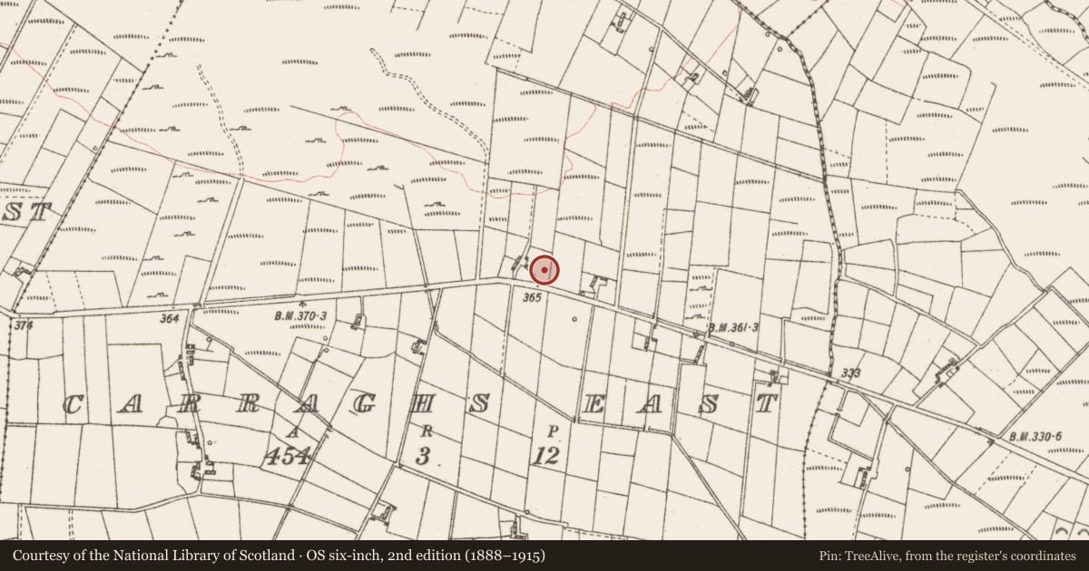 Ordnance Survey six-inch map, 2nd edition (1888–1915) covering the location of Earthwork, Carraghs East, County Roscommon, with a pin at the register's coordinates