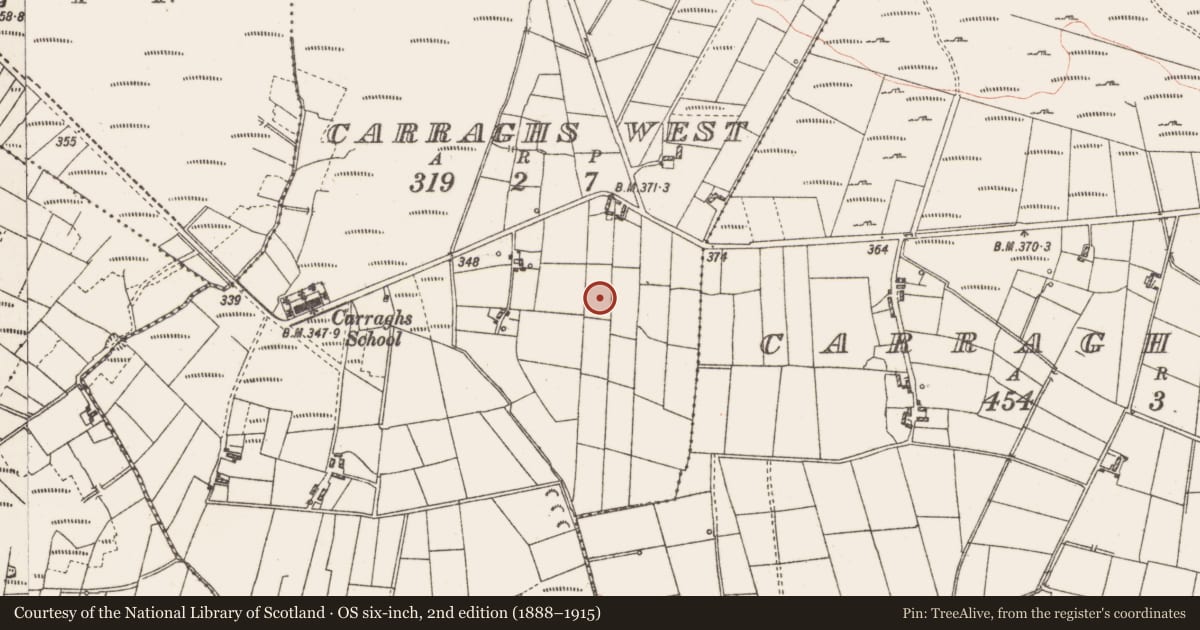 Ordnance Survey six-inch map, 2nd edition (1888–1915) covering the location of Earthwork, Carraghs West, County Roscommon, with a pin at the register's coordinates