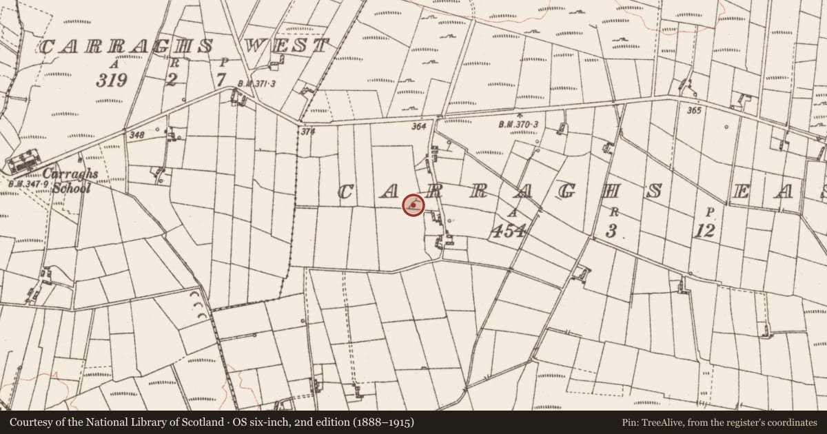 Ordnance Survey six-inch map, 2nd edition (1888–1915) covering the location of Ringfort - cashel, Carraghs East, County Roscommon, with a pin at the register's coordinates