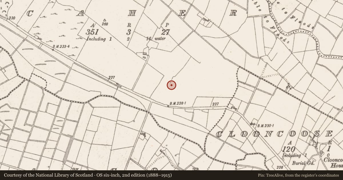 Ordnance Survey six-inch map, 2nd edition (1888–1915) covering the location of Standing stone, Caher, County Roscommon, with a pin at the register's coordinates
