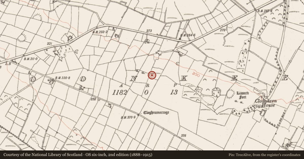 Ordnance Survey six-inch map, 2nd edition (1888–1915) covering the location of Ringfort - unclassified, Cloonkeen, County Roscommon, with a pin at the register's coordinates