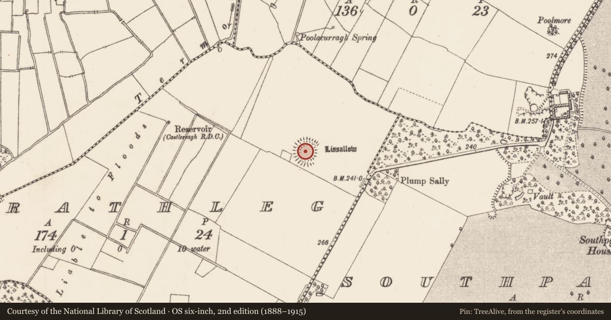 Ordnance Survey six-inch map, 2nd edition (1888–1915) covering the location of Ringfort - rath, Rathleg, County Roscommon, with a pin at the register's coordinates