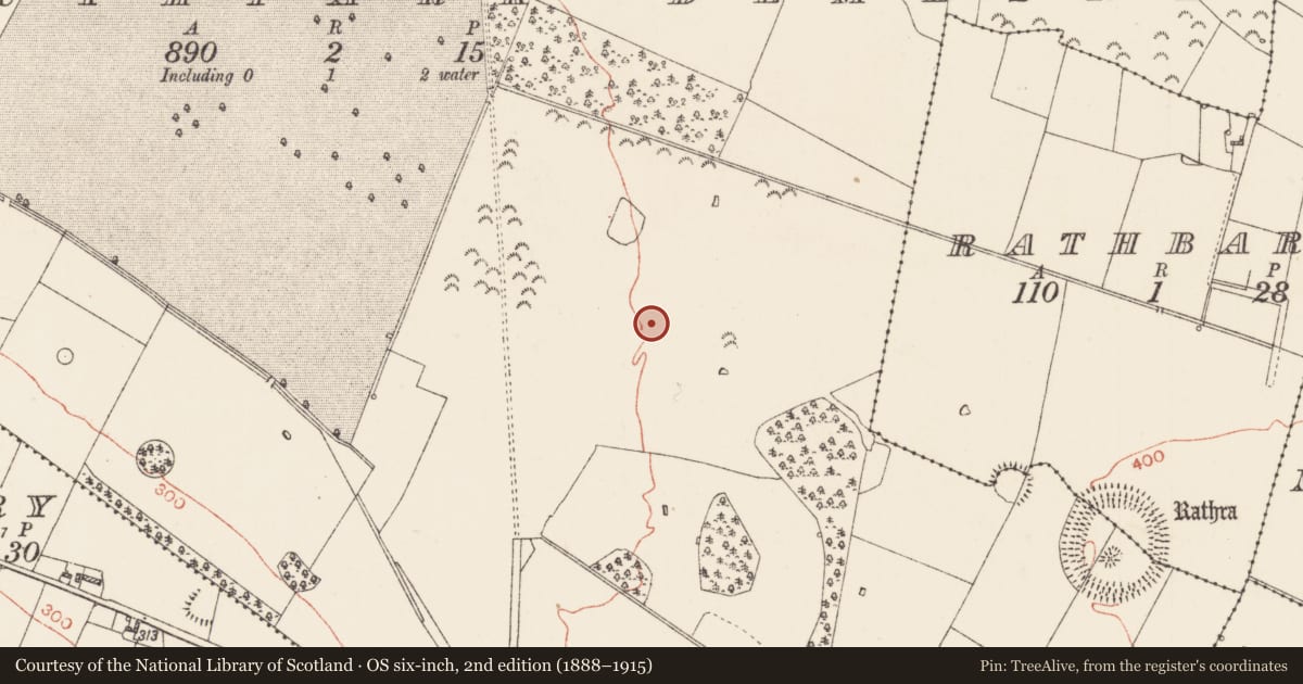 Ordnance Survey six-inch map, 2nd edition (1888–1915) covering the location of Standing stone, Southpark Demesne, County Roscommon, with a pin at the register's coordinates