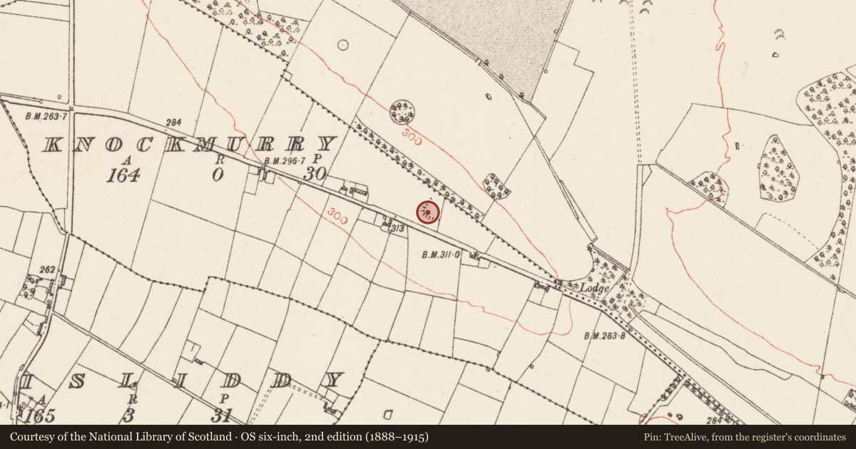 Ordnance Survey six-inch map, 2nd edition (1888–1915) covering the location of Ringfort - rath, Knockmurry, County Roscommon, with a pin at the register's coordinates