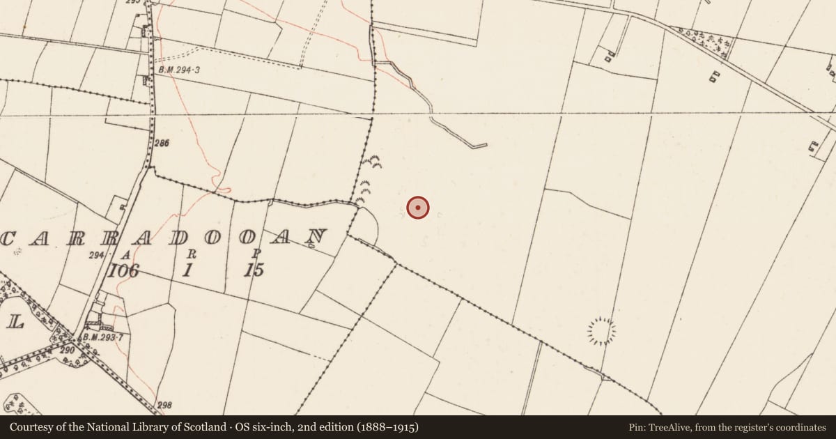 Ordnance Survey six-inch map, 2nd edition (1888–1915) covering the location of Ringfort - rath, Lissalway, County Roscommon, with a pin at the register's coordinates