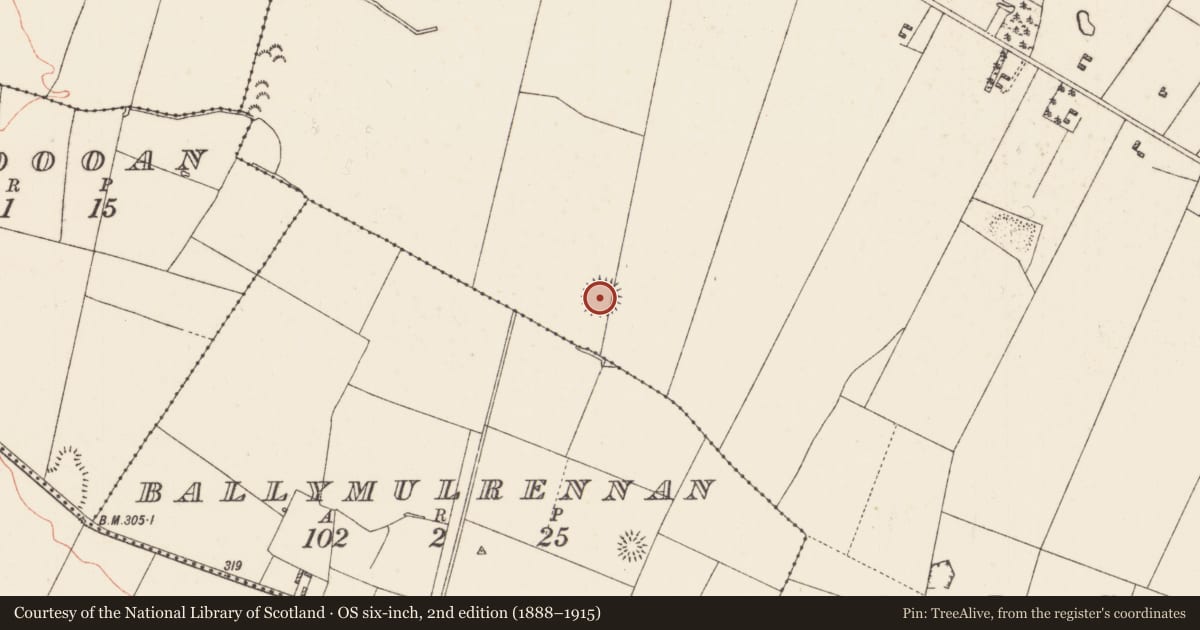 Ordnance Survey six-inch map, 2nd edition (1888–1915) covering the location of Ringfort - rath, Lissalway, County Roscommon, with a pin at the register's coordinates