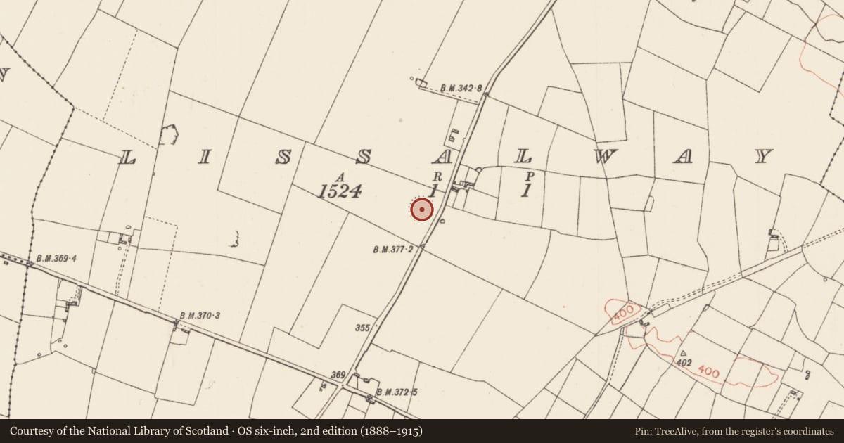 Ordnance Survey six-inch map, 2nd edition (1888–1915) covering the location of Ringfort - rath, Lissalway, County Roscommon, with a pin at the register's coordinates