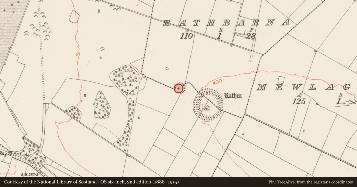 Ordnance Survey six-inch map, 2nd edition (1888–1915) covering the location of Ringfort - rath, Rathbarna, Southpark Demesne, County Roscommon, with a pin at the register's coordinates