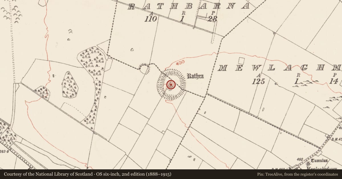 Ordnance Survey six-inch map, 2nd edition (1888–1915) covering the location of Ceremonial enclosure, Rathbarna, Southpark Demesne, County Roscommon, with a pin at the register's coordinates