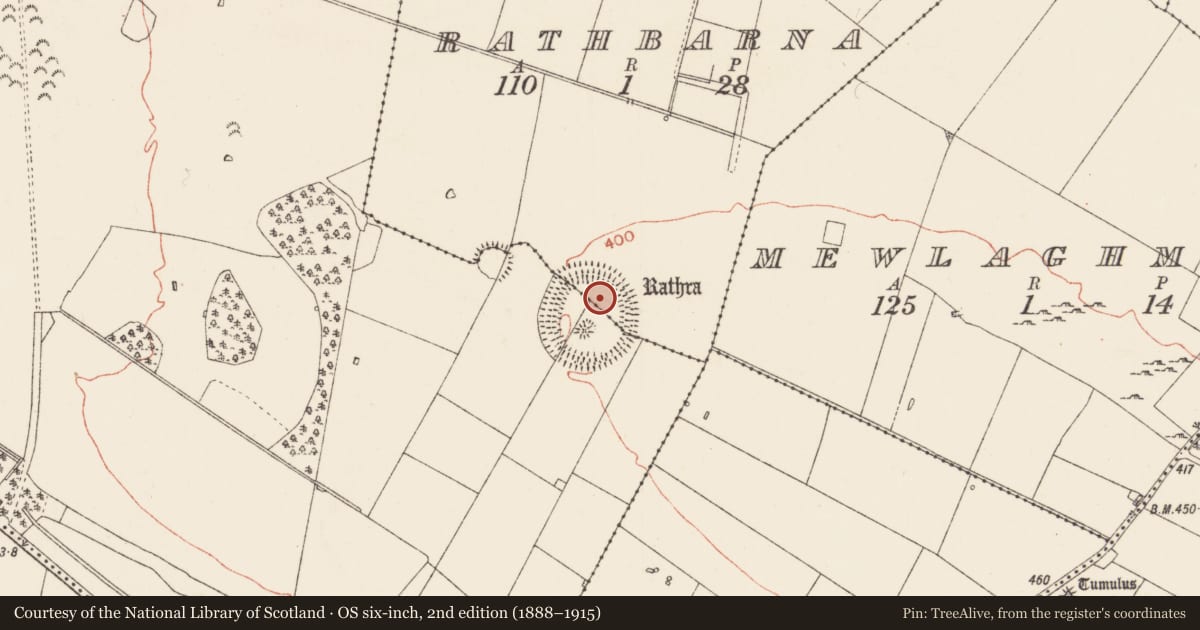 Ordnance Survey six-inch map, 2nd edition (1888–1915) covering the location of Standing stone, Rathbarna, County Roscommon, with a pin at the register's coordinates