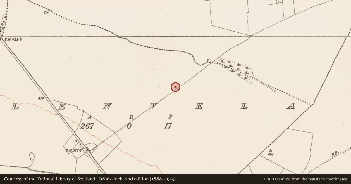 Ordnance Survey six-inch map, 2nd edition (1888–1915) covering the location of Road - road/trackway, Gortnasillagh, County Roscommon, with a pin at the register's coordinates