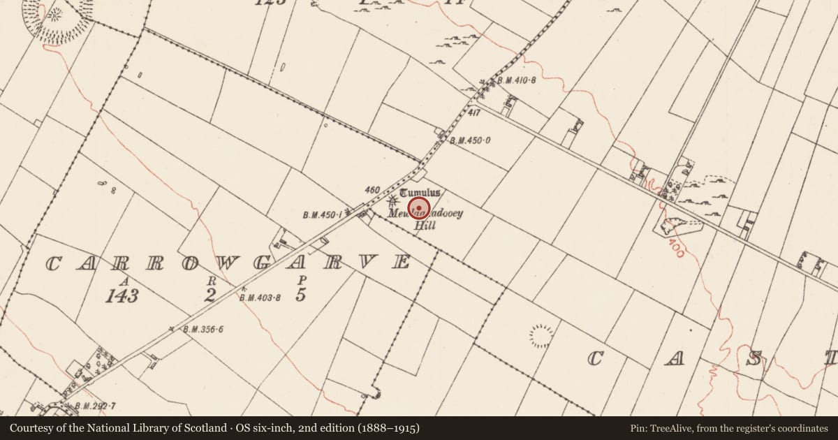 Ordnance Survey six-inch map, 2nd edition (1888–1915) covering the location of Hillfort, County Roscommon, with a pin at the register's coordinates