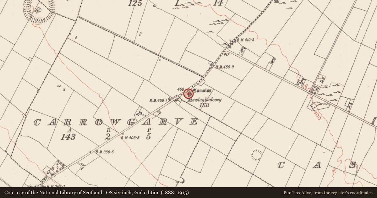 Ordnance Survey six-inch map, 2nd edition (1888–1915) covering the location of Barrow - bowl-barrow, Castleteheen, County Roscommon, with a pin at the register's coordinates