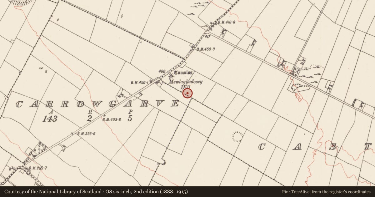 Ordnance Survey six-inch map, 2nd edition (1888–1915) covering the location of Barrow - ring-barrow, Carrowgarve, Castleteheen, County Roscommon, with a pin at the register's coordinates