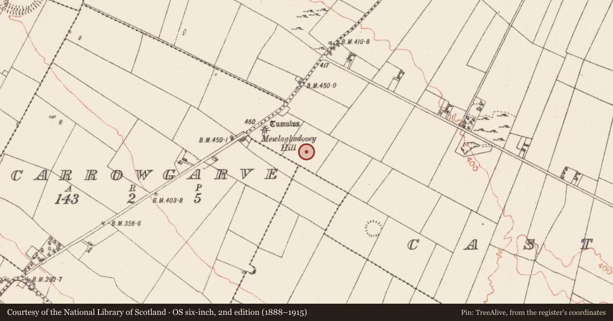 Ordnance Survey six-inch map, 2nd edition (1888–1915) covering the location of Barrow - ring-barrow, Castleteheen, County Roscommon, with a pin at the register's coordinates