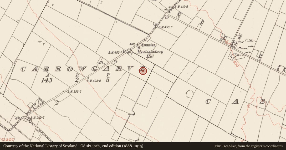 Ordnance Survey six-inch map, 2nd edition (1888–1915) covering the location of Road - road/trackway, Bohagh, Carrowgarve, County Roscommon, with a pin at the register's coordinates