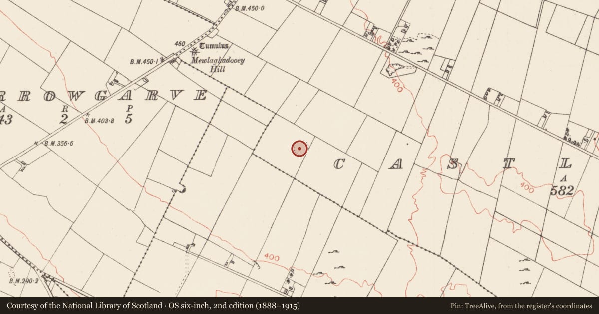 Ordnance Survey six-inch map, 2nd edition (1888–1915) covering the location of Ringfort - rath, Castleteheen, County Roscommon, with a pin at the register's coordinates