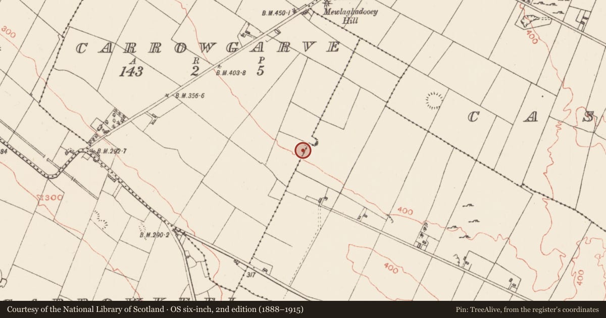Ordnance Survey six-inch map, 2nd edition (1888–1915) covering the location of Earthwork, Bohagh, Carrowgarve, County Roscommon, with a pin at the register's coordinates