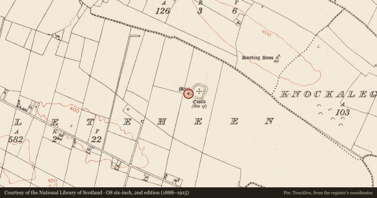 Ordnance Survey six-inch map, 2nd edition (1888–1915) covering the location of Building, Castleteheen, County Roscommon, with a pin at the register's coordinates