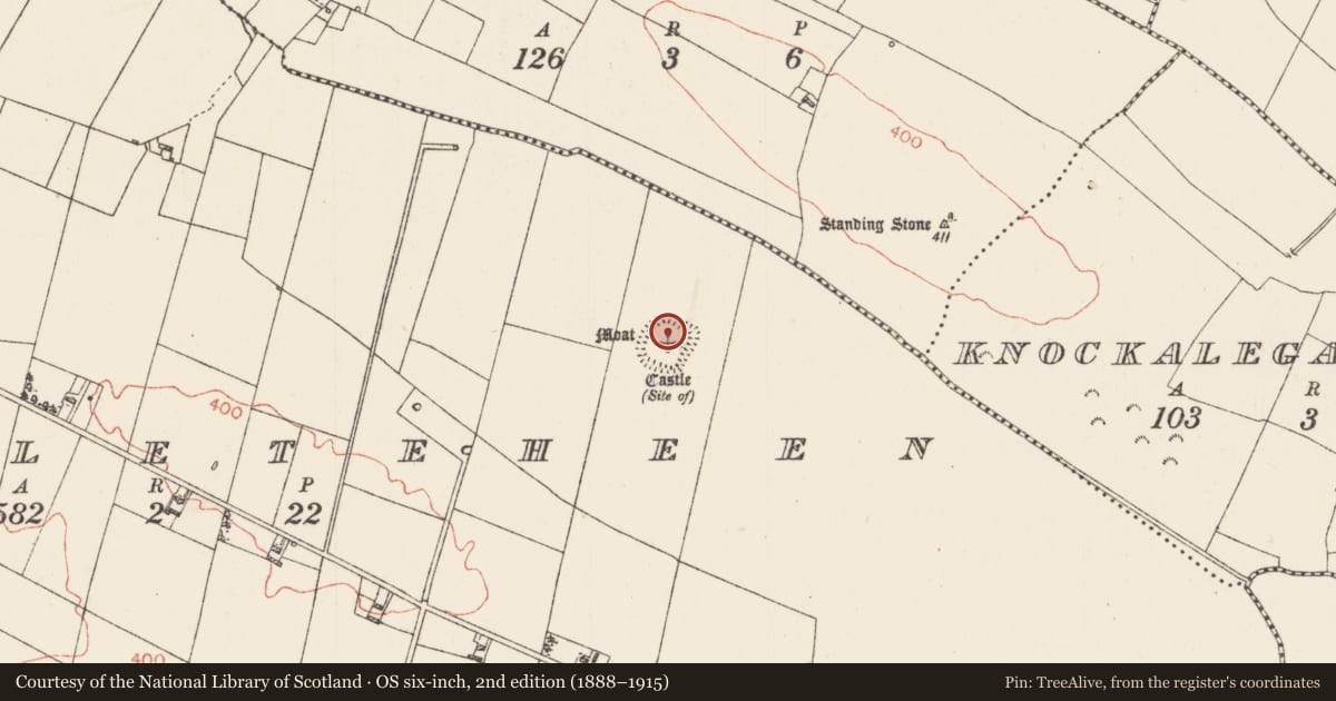 Ordnance Survey six-inch map, 2nd edition (1888–1915) covering the location of House - indeterminate date, Castleteheen, County Roscommon, with a pin at the register's coordinates