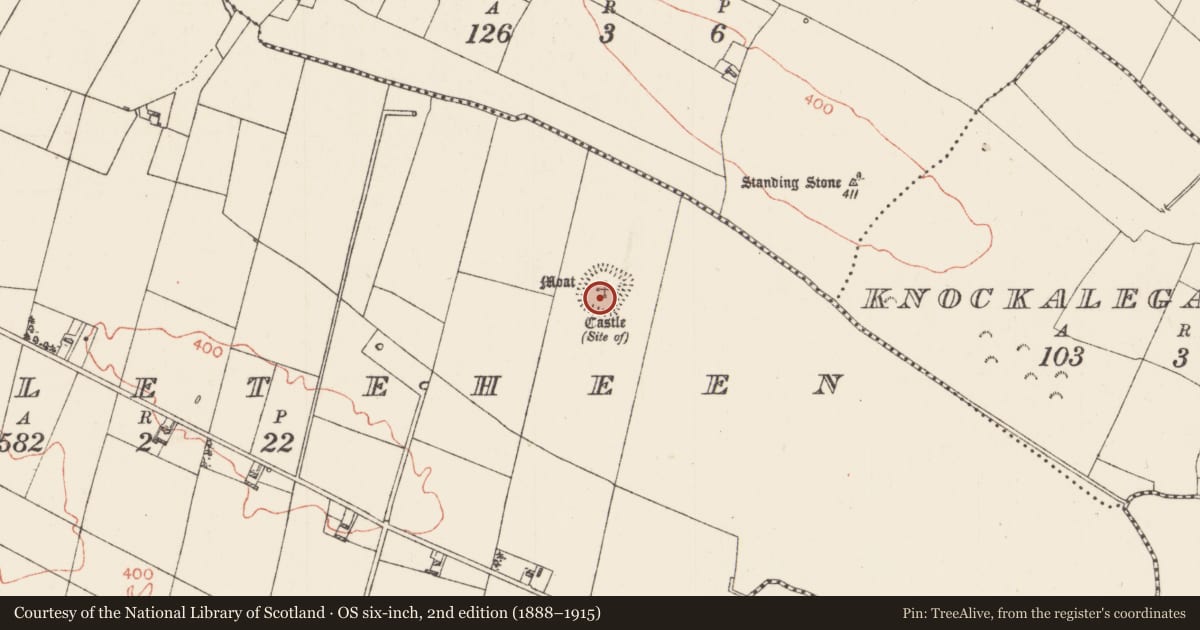 Ordnance Survey six-inch map, 2nd edition (1888–1915) covering the location of House - indeterminate date, Castleteheen, County Roscommon, with a pin at the register's coordinates