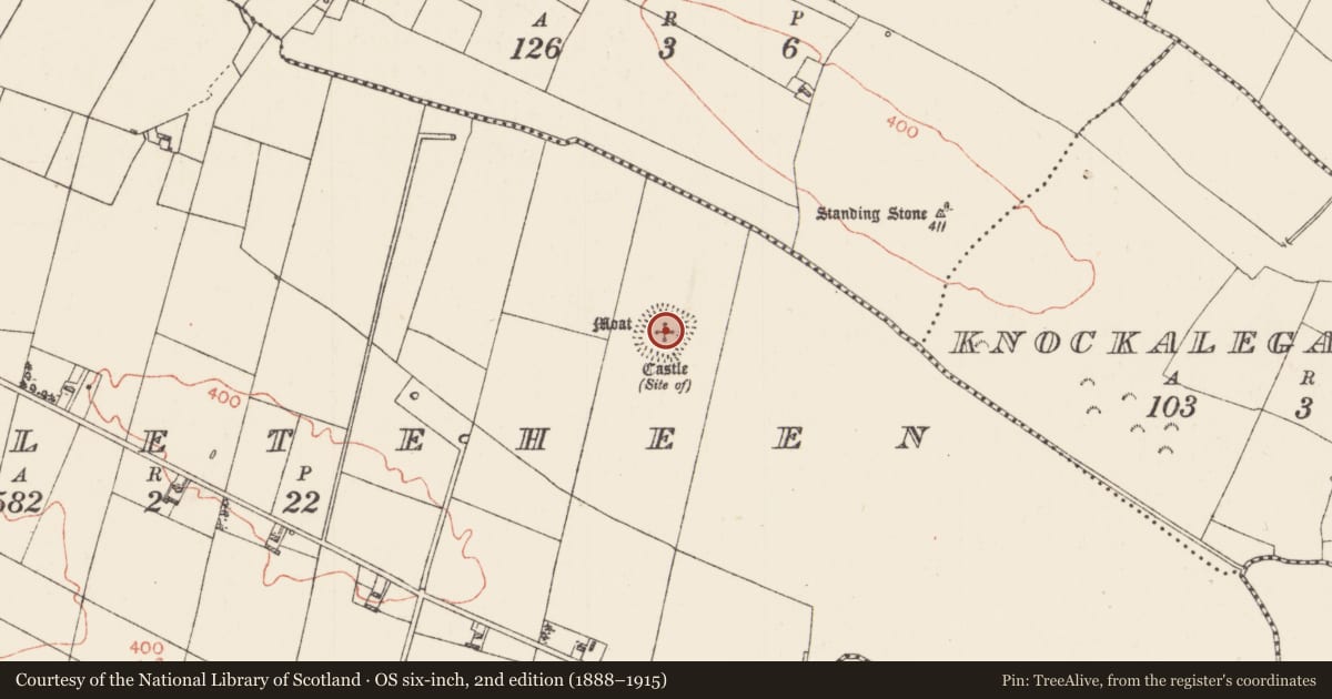 Ordnance Survey six-inch map, 2nd edition (1888–1915) covering the location of Standing stone, Castleteheen, County Roscommon, with a pin at the register's coordinates
