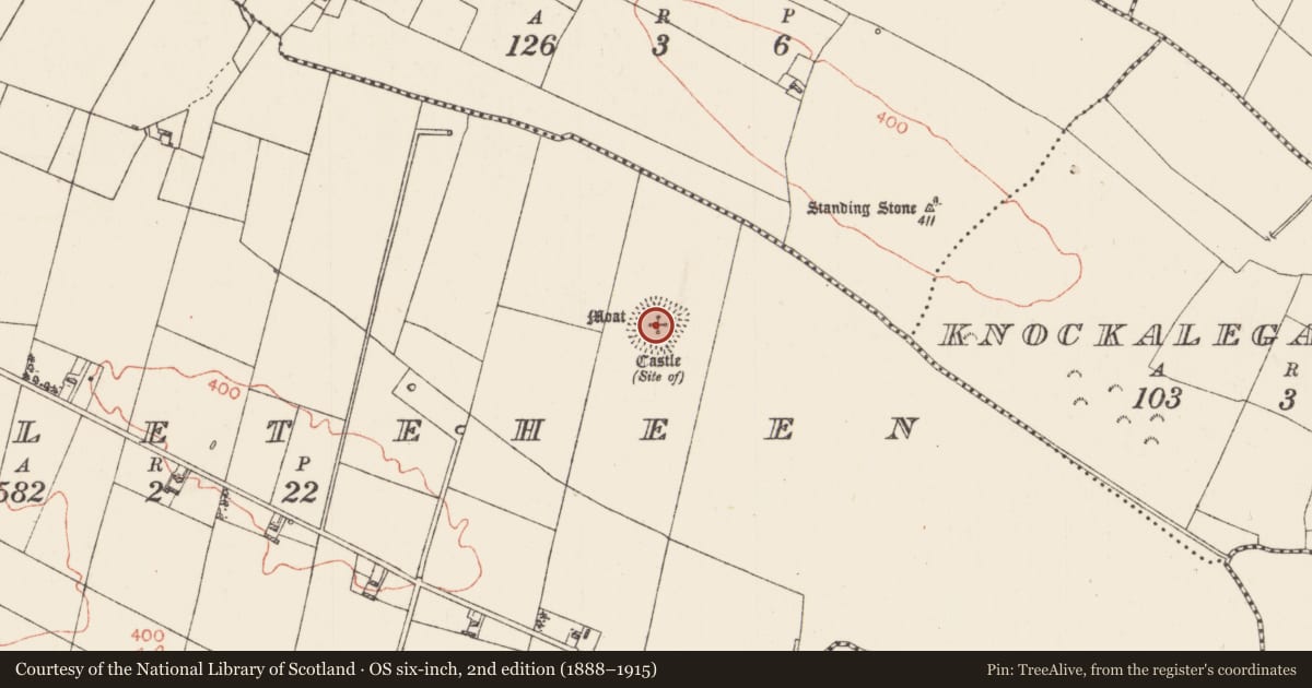 Ordnance Survey six-inch map, 2nd edition (1888–1915) covering the location of Architectural fragment, Castleteheen, County Roscommon, with a pin at the register's coordinates