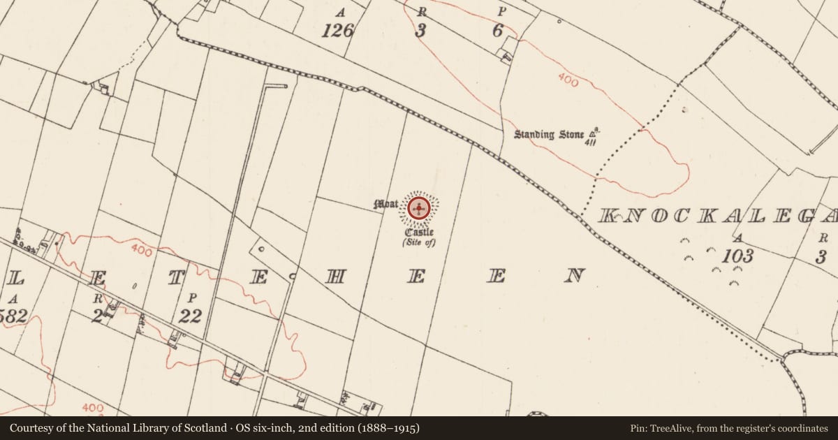 Ordnance Survey six-inch map, 2nd edition (1888–1915) covering the location of Cairn - clearance cairn, Castleteheen, County Roscommon, with a pin at the register's coordinates