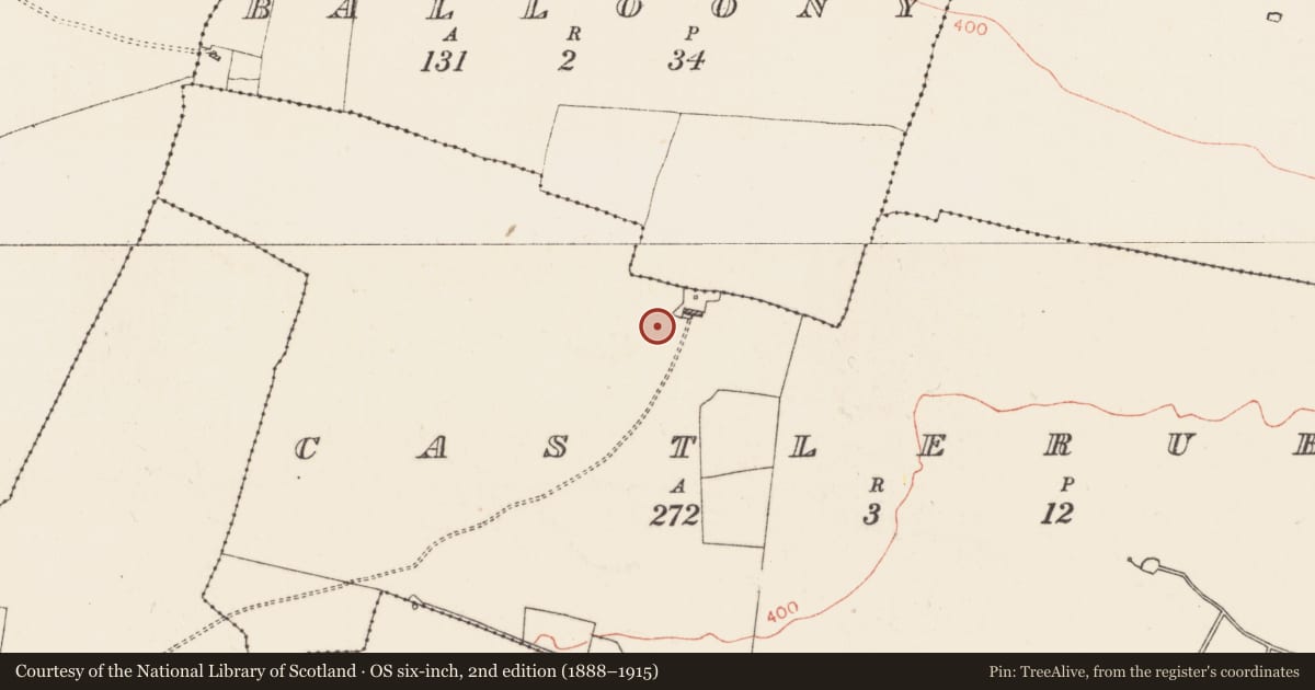 Ordnance Survey six-inch map, 2nd edition (1888–1915) covering the location of Barrow - unclassified, Castleruby, County Roscommon, with a pin at the register's coordinates