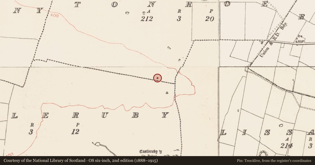 Ordnance Survey six-inch map, 2nd edition (1888–1915) covering the location of Hilltop enclosure, Castleruby, Tonroe, County Roscommon, with a pin at the register's coordinates