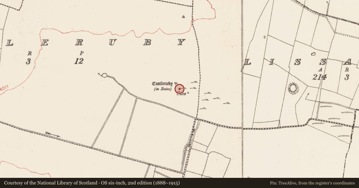 Ordnance Survey six-inch map, 2nd edition (1888–1915) covering the location of Castle - unclassified, Castleruby, County Roscommon, with a pin at the register's coordinates