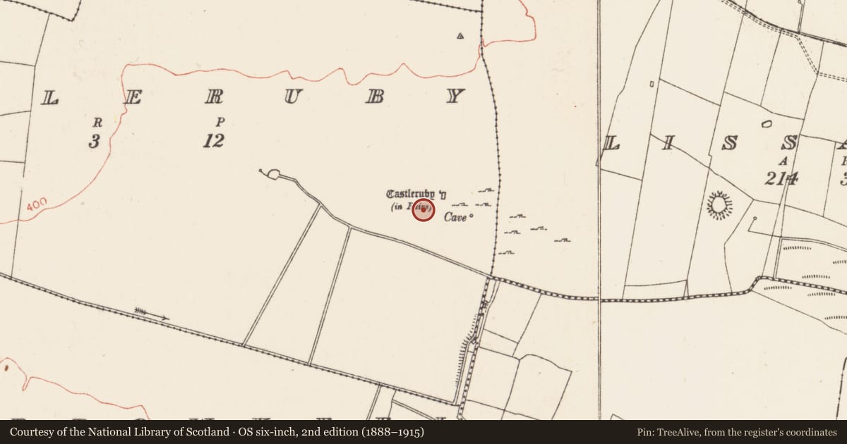 Ordnance Survey six-inch map, 2nd edition (1888–1915) covering the location of Field system, Castleruby, County Roscommon, with a pin at the register's coordinates