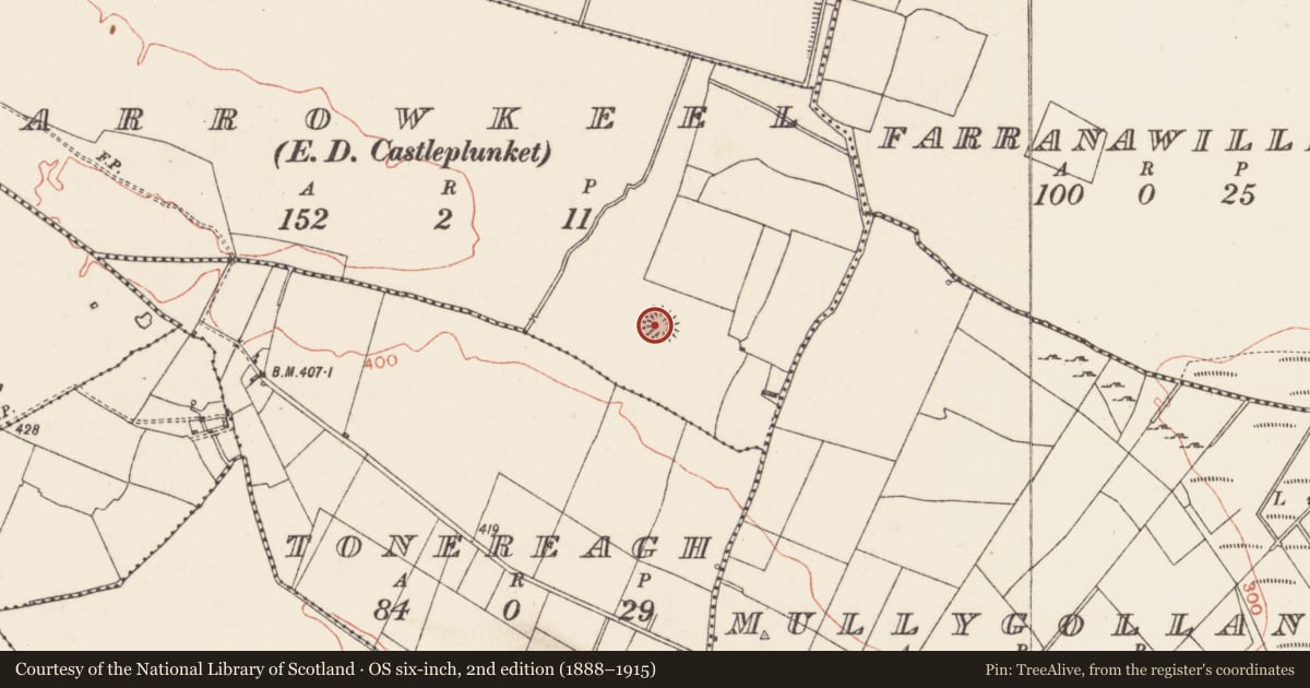 Ordnance Survey six-inch map, 2nd edition (1888–1915) covering the location of Ringfort - rath, Carrowkeel (Castlereagh By., Castleplunket ED, County Roscommon, with a pin at the register's coordinates