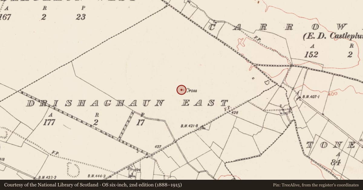 Ordnance Survey six-inch map, 2nd edition (1888–1915) covering the location of Mound, Drishaghaun East, County Roscommon, with a pin at the register's coordinates