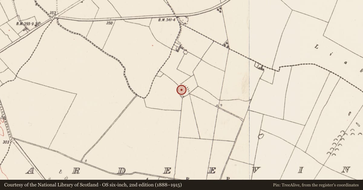 Ordnance Survey six-inch map, 2nd edition (1888–1915) covering the location of Ringfort - rath, Ardeevin, County Roscommon, with a pin at the register's coordinates