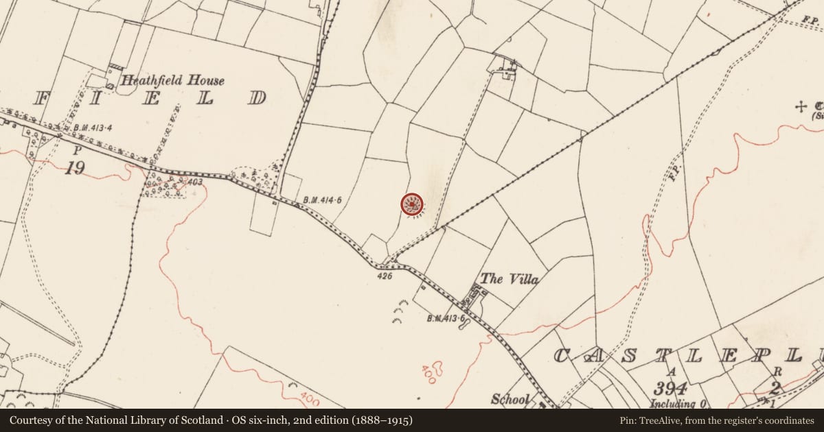 Ordnance Survey six-inch map, 2nd edition (1888–1915) covering the location of Barrow - bowl-barrow, Lisheen, County Roscommon, with a pin at the register's coordinates