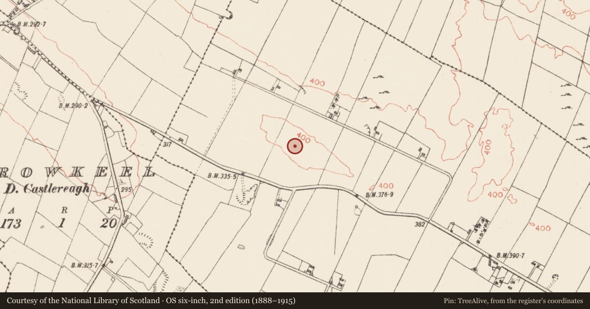Ordnance Survey six-inch map, 2nd edition (1888–1915) covering the location of Ringfort - rath, Bohagh, County Roscommon, with a pin at the register's coordinates