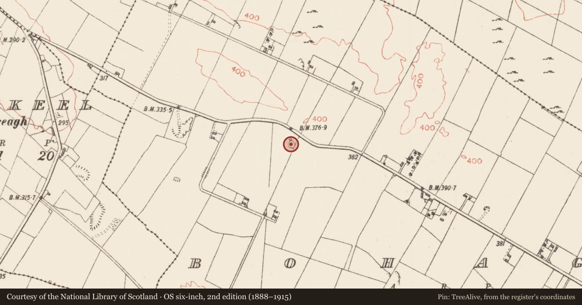 Ordnance Survey six-inch map, 2nd edition (1888–1915) covering the location of Ringfort - rath, Bohagh, County Roscommon, with a pin at the register's coordinates