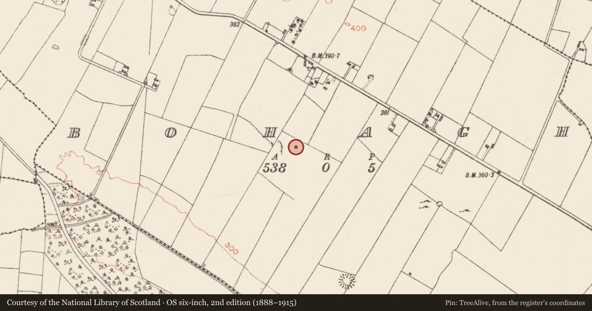 Ordnance Survey six-inch map, 2nd edition (1888–1915) covering the location of Ringfort - rath, Bohagh, County Roscommon, with a pin at the register's coordinates