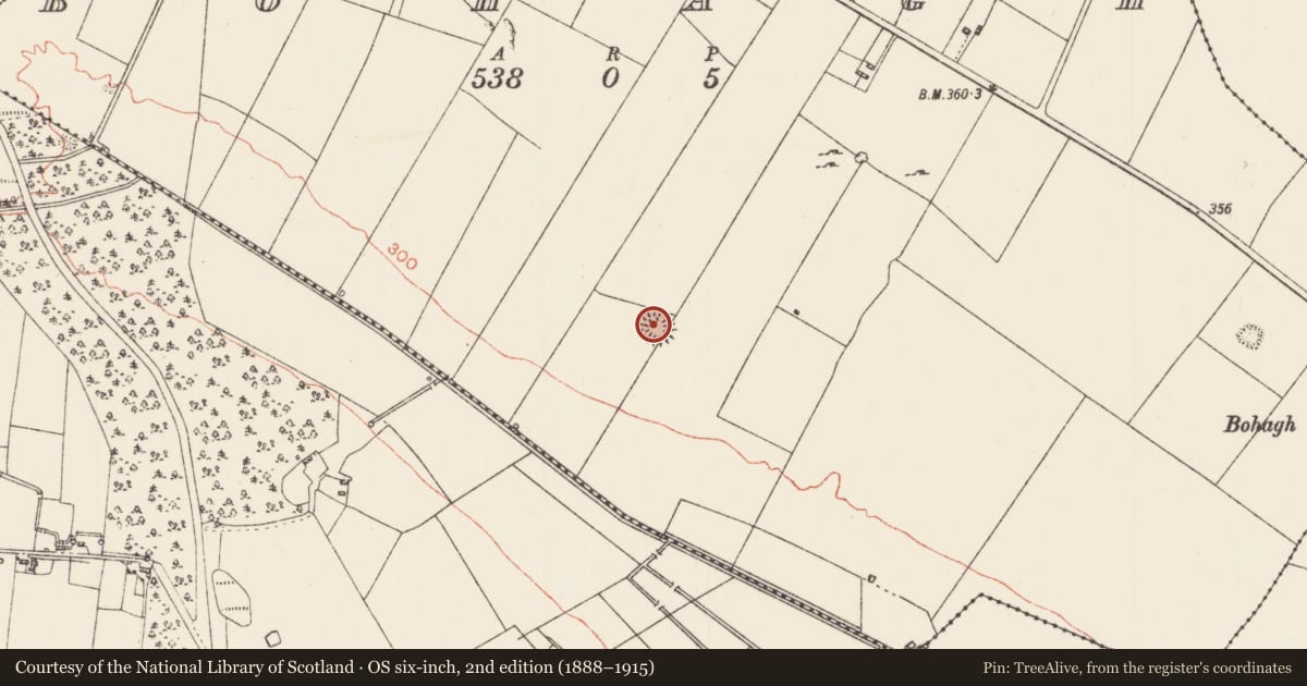 Ordnance Survey six-inch map, 2nd edition (1888–1915) covering the location of Ringfort - rath, Bohagh, County Roscommon, with a pin at the register's coordinates