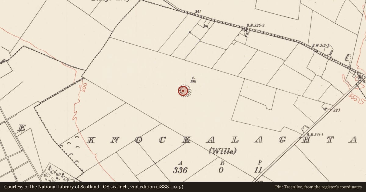 Ordnance Survey six-inch map, 2nd edition (1888–1915) covering the location of Ringfort - rath, Knockalaghta (Wills), County Roscommon, with a pin at the register's coordinates