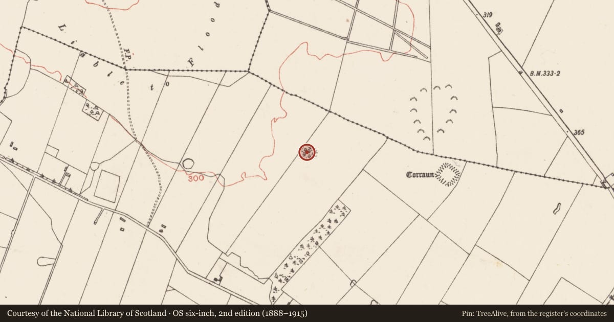 Ordnance Survey six-inch map, 2nd edition (1888–1915) covering the location of Ringfort - rath, Milltown, County Roscommon, with a pin at the register's coordinates