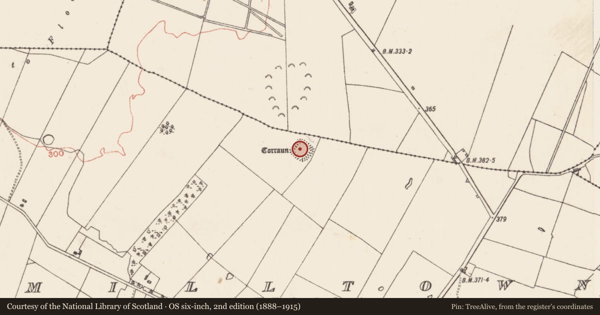 Ordnance Survey six-inch map, 2nd edition (1888–1915) covering the location of Moated site, Milltown, County Roscommon, with a pin at the register's coordinates