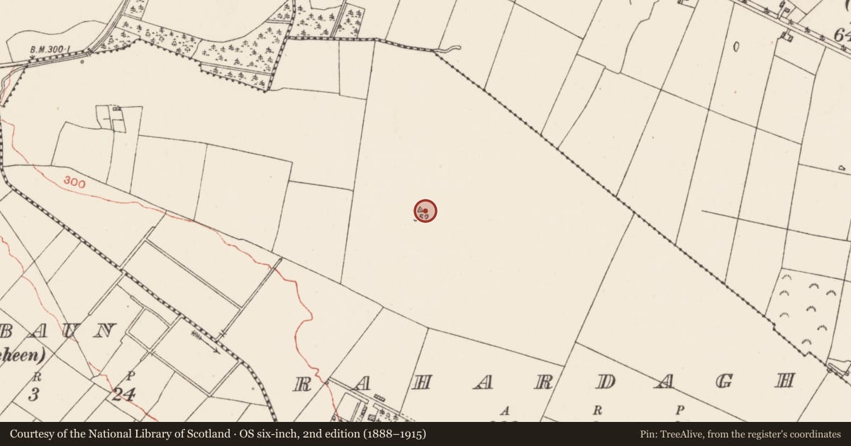Ordnance Survey six-inch map, 2nd edition (1888–1915) covering the location of Enclosure, Rahardagh, County Roscommon, with a pin at the register's coordinates