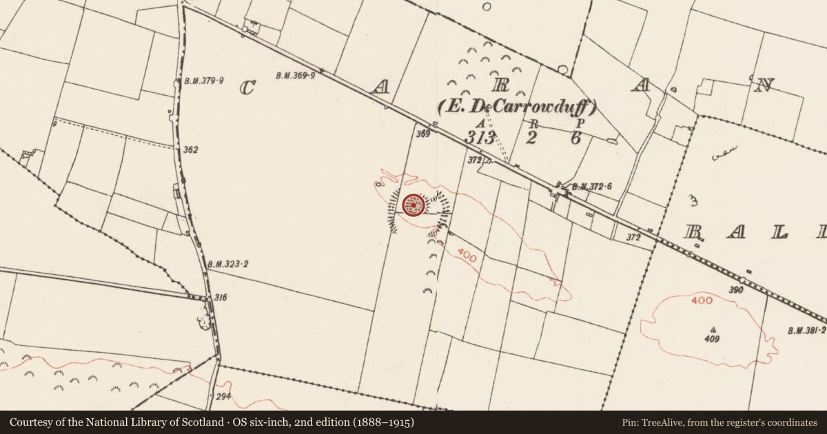 Ordnance Survey six-inch map, 2nd edition (1888–1915) covering the location of Ceremonial enclosure, Caran, County Roscommon, with a pin at the register's coordinates
