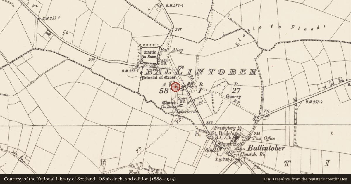 Ordnance Survey six-inch map, 2nd edition (1888–1915) covering the location of Historic town, County Roscommon, with a pin at the register's coordinates