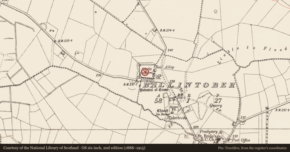 Ordnance Survey six-inch map, 2nd edition (1888–1915) covering the location of Castle - Anglo-Norman masonry castle, Ballintober, Rosmeen, County Roscommon, with a pin at the register's coordinates
